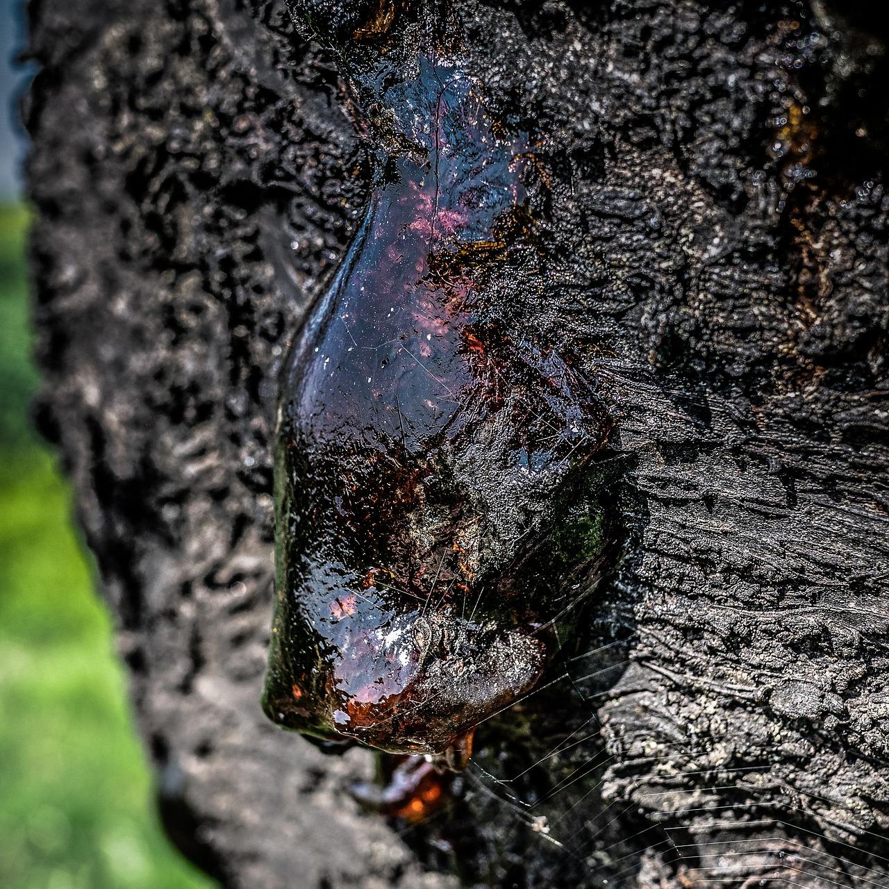 2. 检查土壤透气性