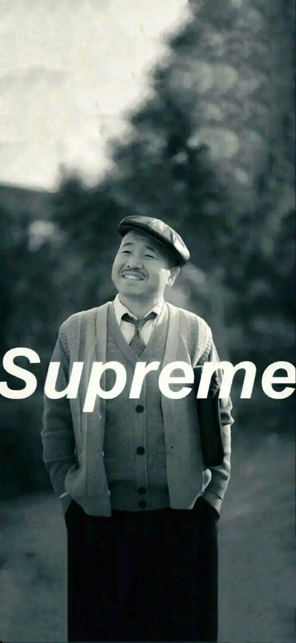 又或者像刘能这样,微笑着为 supreme 代言,演绎站着把钱挣了的云淡风