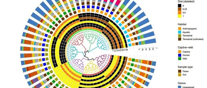 r语言跟着Nature Communications学绘图—tree+分支颜色调整+分组注释+热图注释+柱状堆积图注释!!! - 知乎