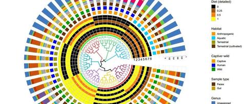 r语言跟着Nature Communications学绘图—tree+分支颜色调整+分组注释+热图注释+柱状堆积图注释！！！ - 知乎