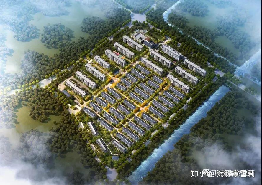 崇明【岛上的院子】,能卖给谁? - 知乎