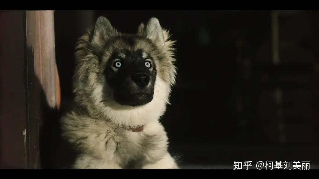 多哥电影素材网站下载_免费电影素材库