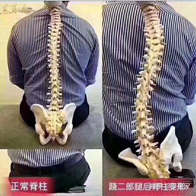 坐姿不端正,脊柱受力不均,容易脊柱侧软坐垫很容易不端正坐姿.