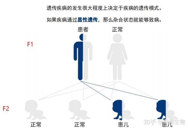 不完全显性图片