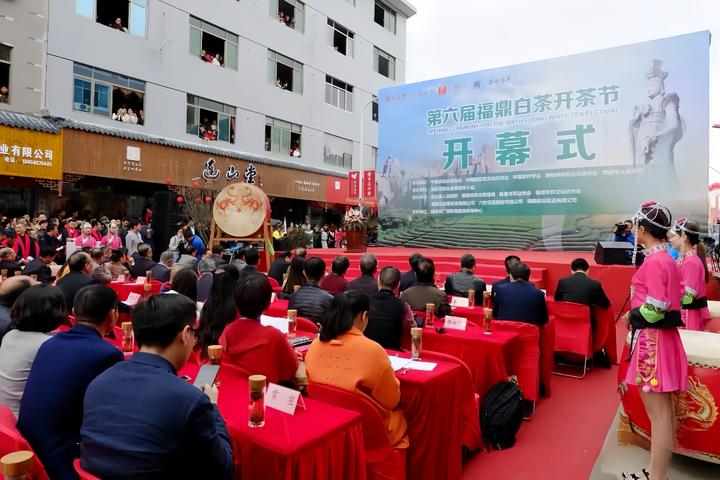 第六届福鼎白茶开茶节,连山堂见证荣耀时刻