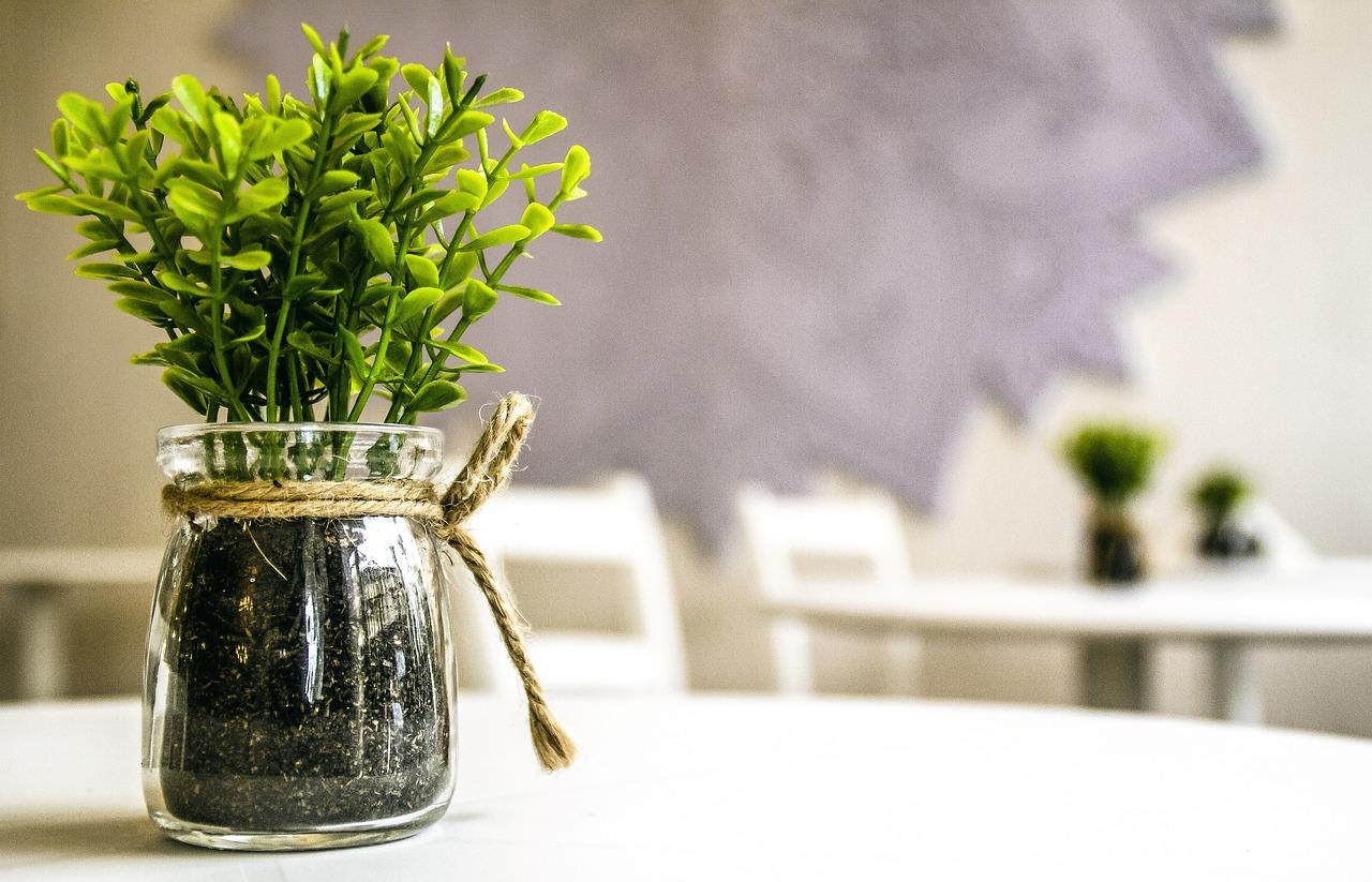 3. 花盆手写标语