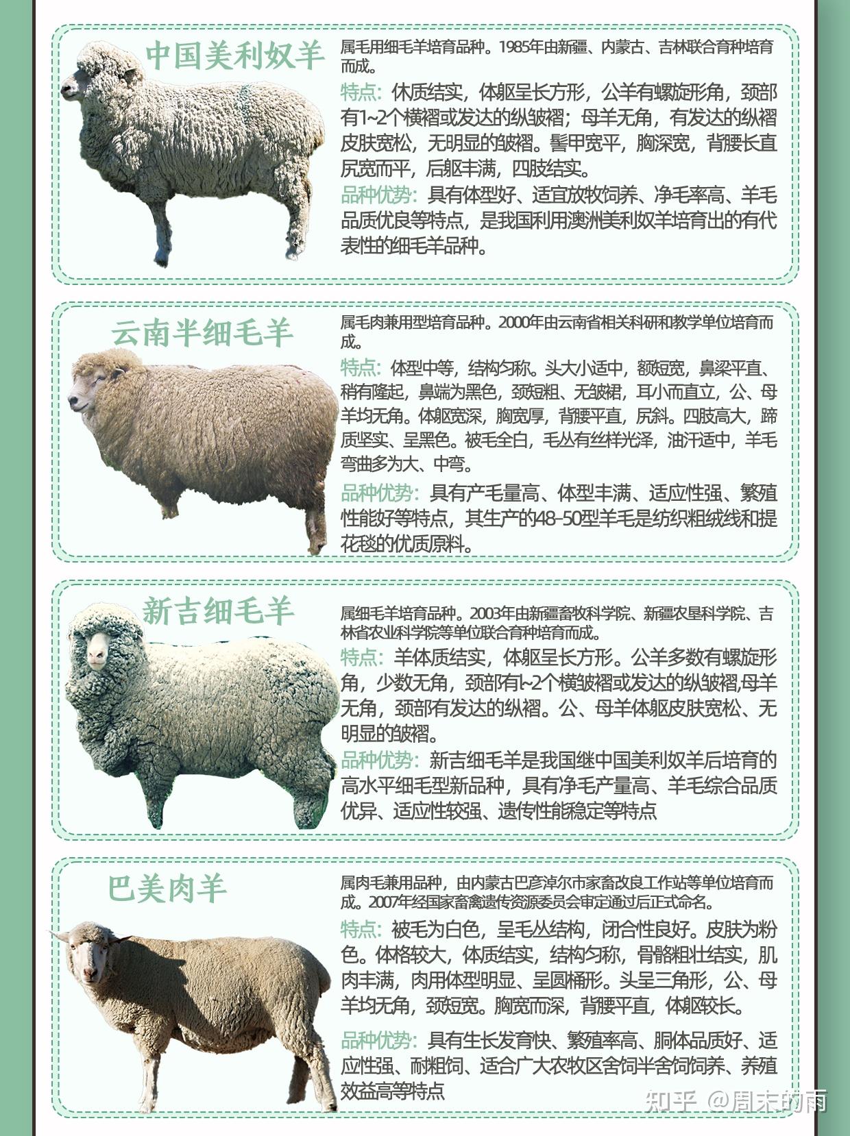 请问世界上一共有多少种绵羊啊?