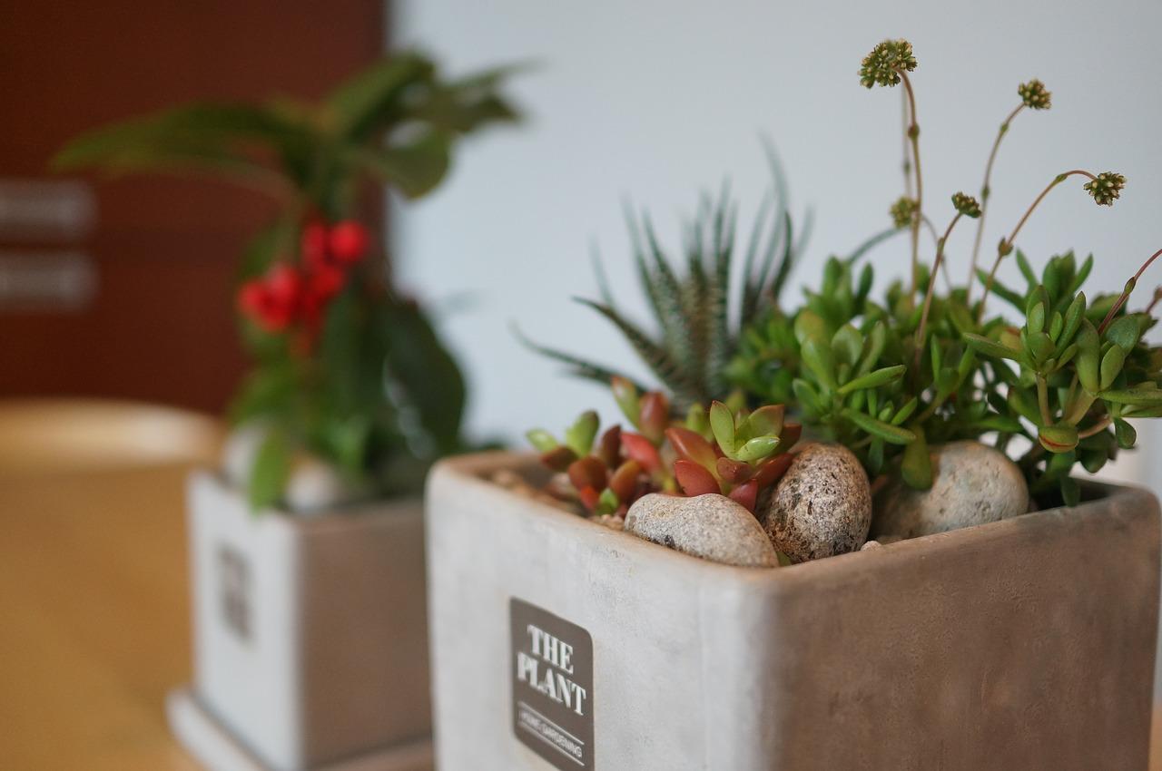 后浇带一般在什么位置