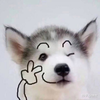 暴走小蛞蝓