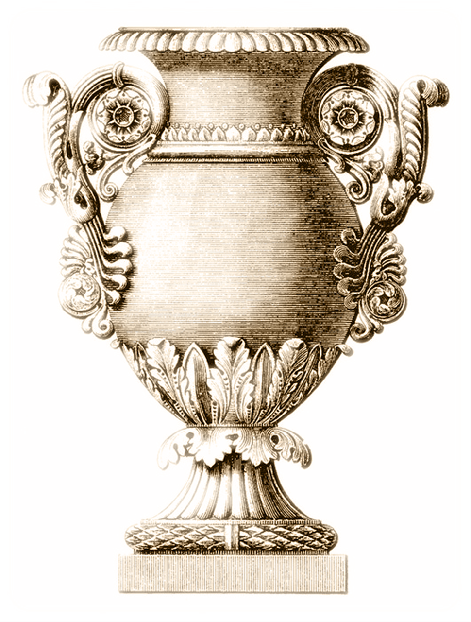 2. 绿植清新宜人