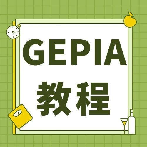 Tcga gepia 
