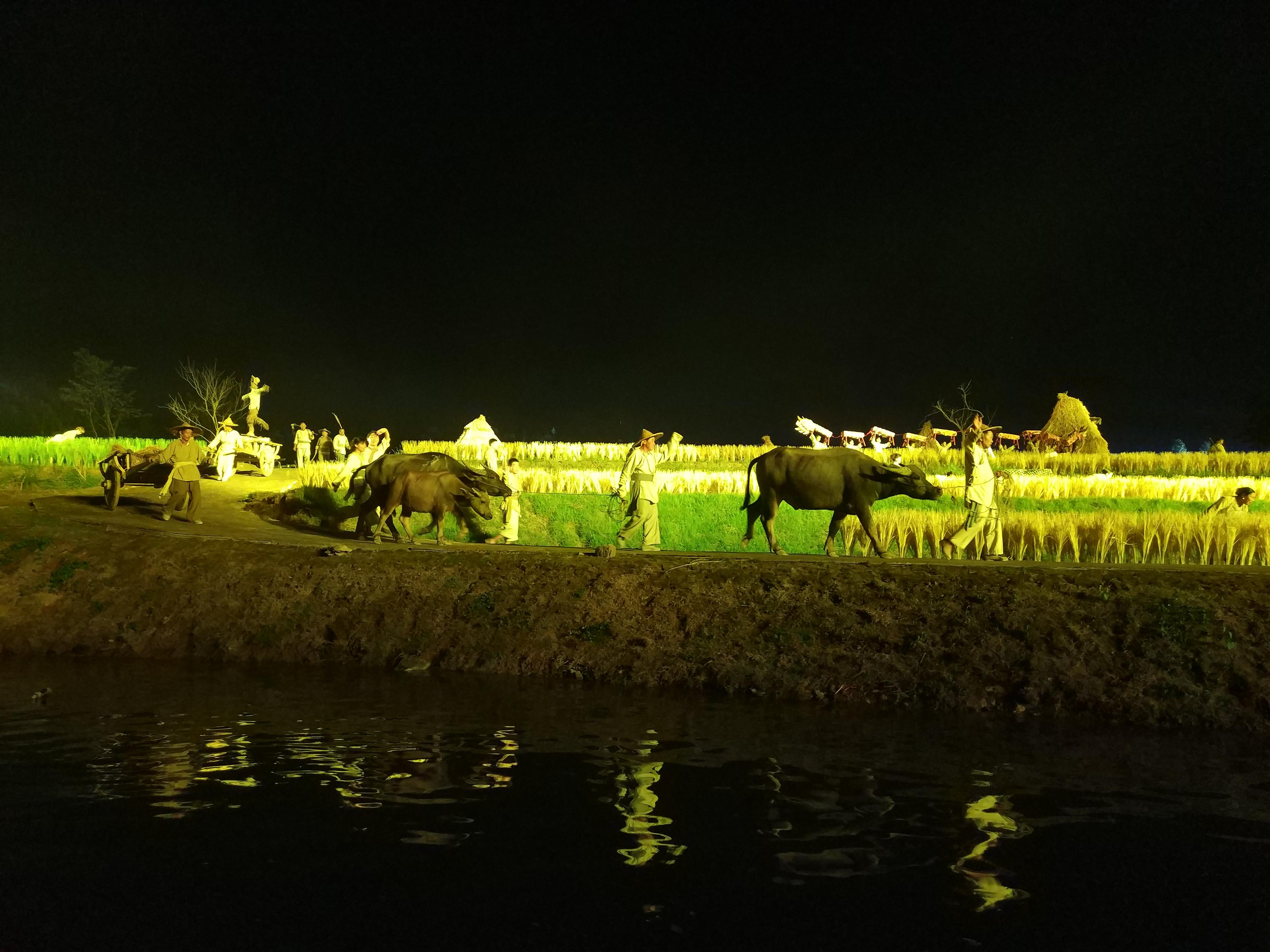 《桃花源记》实景演出怎么样? - 知乎