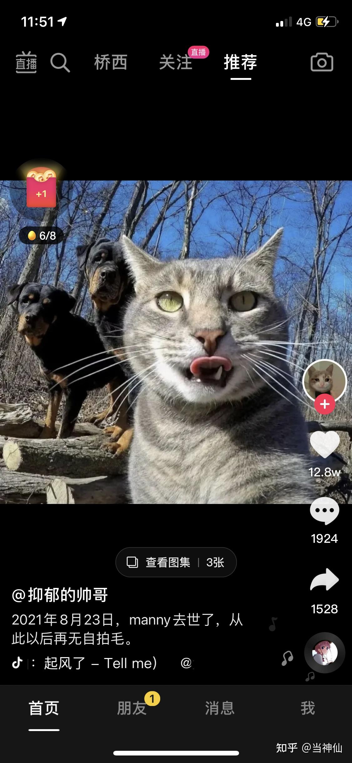 自拍猫manny真的去世了吗 ? - 知乎