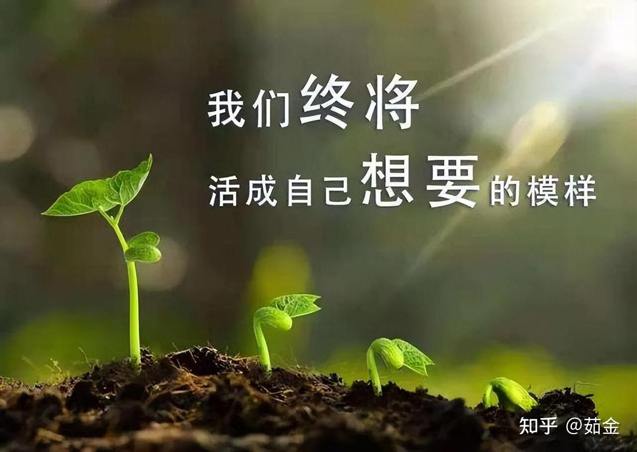 看过钝感力这本书的你有什么评价