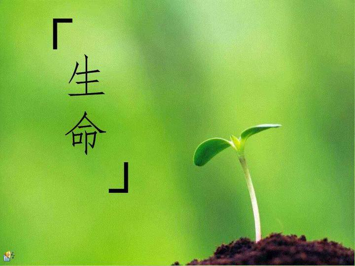循环伏安法绘出的CV曲线各峰和谷的意义 知乎