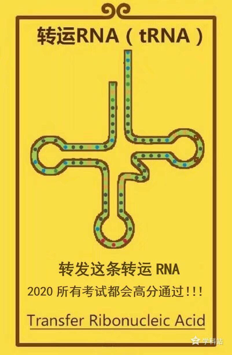浙江2020一月选考学考是什么体验