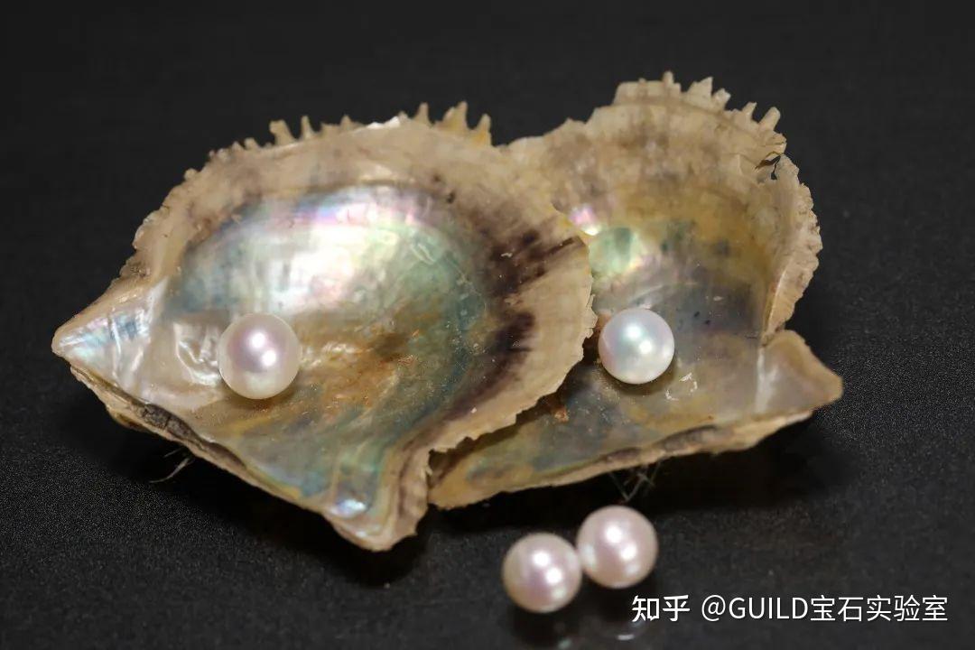 淡水、海水、AKOYA、大溪地珍珠到底是什么？ - 知乎
