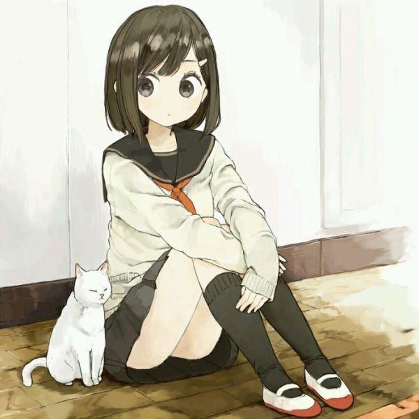 有没有少女与猫的动漫头像