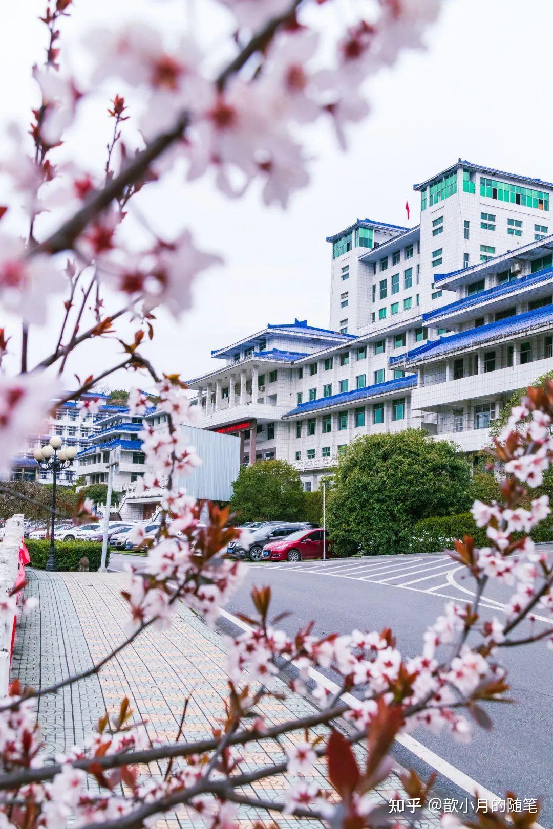 湖北民族大学照片图片