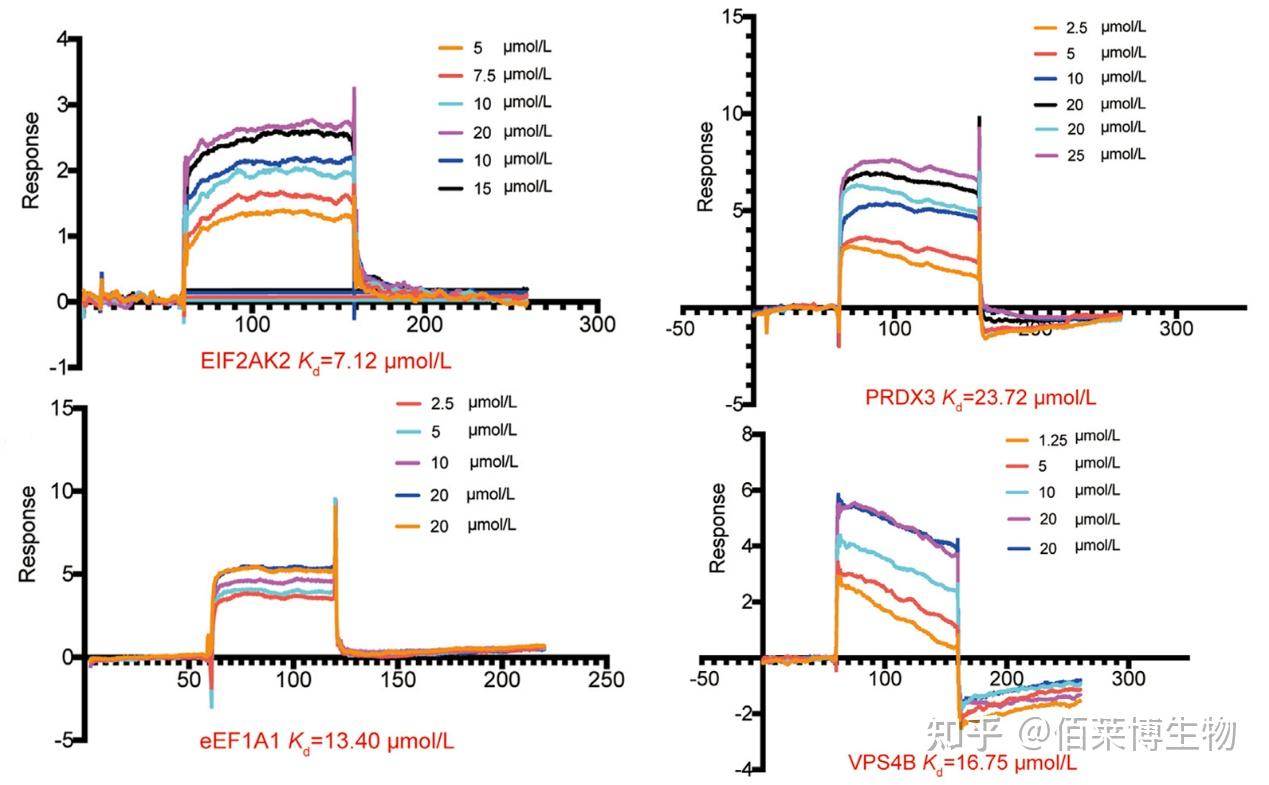 Spr Mutation 中药单体与靶蛋白结合验证:SPR+分子对接+CETSA - 知乎