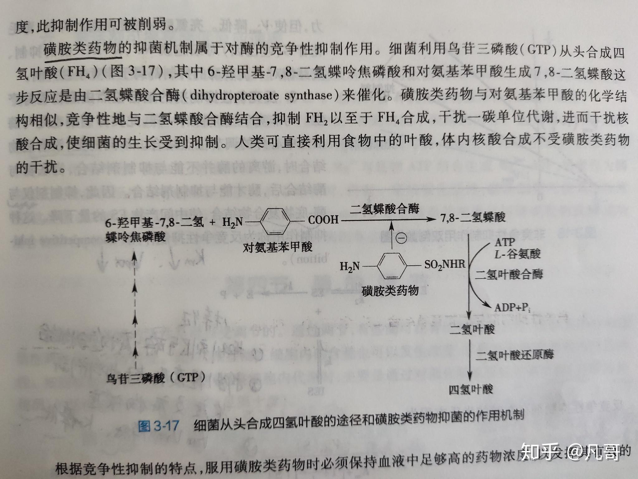 从生物化学角度阐述磺胺类药物的作用机制