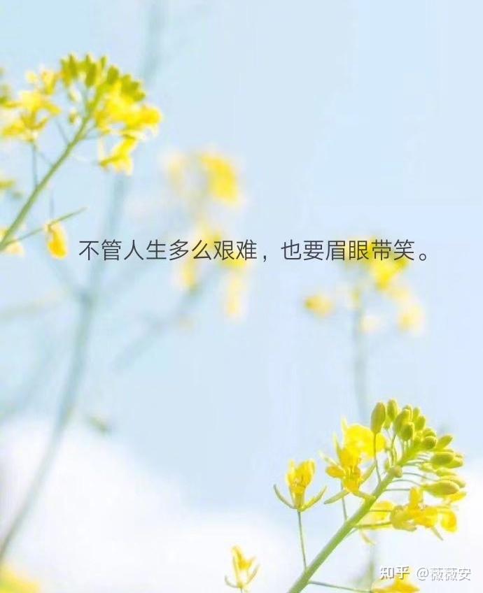 因为什么我更热爱祖国为什么在线