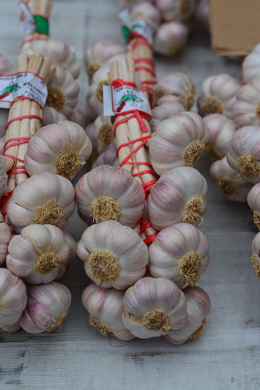 4. 大蒜播种技巧