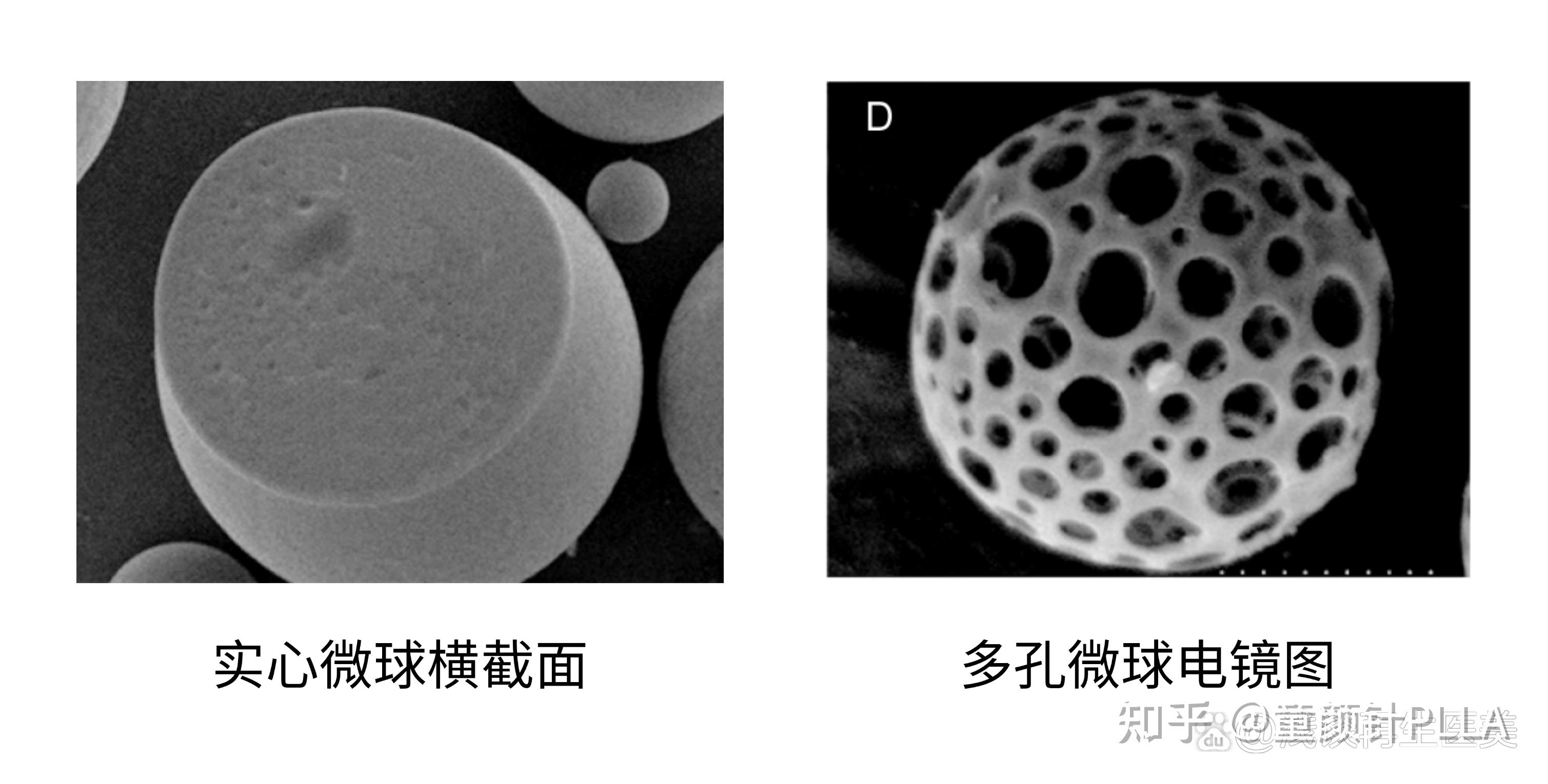 再生医美:实心微球对比多孔微球,到底谁更胜一筹? - 知乎