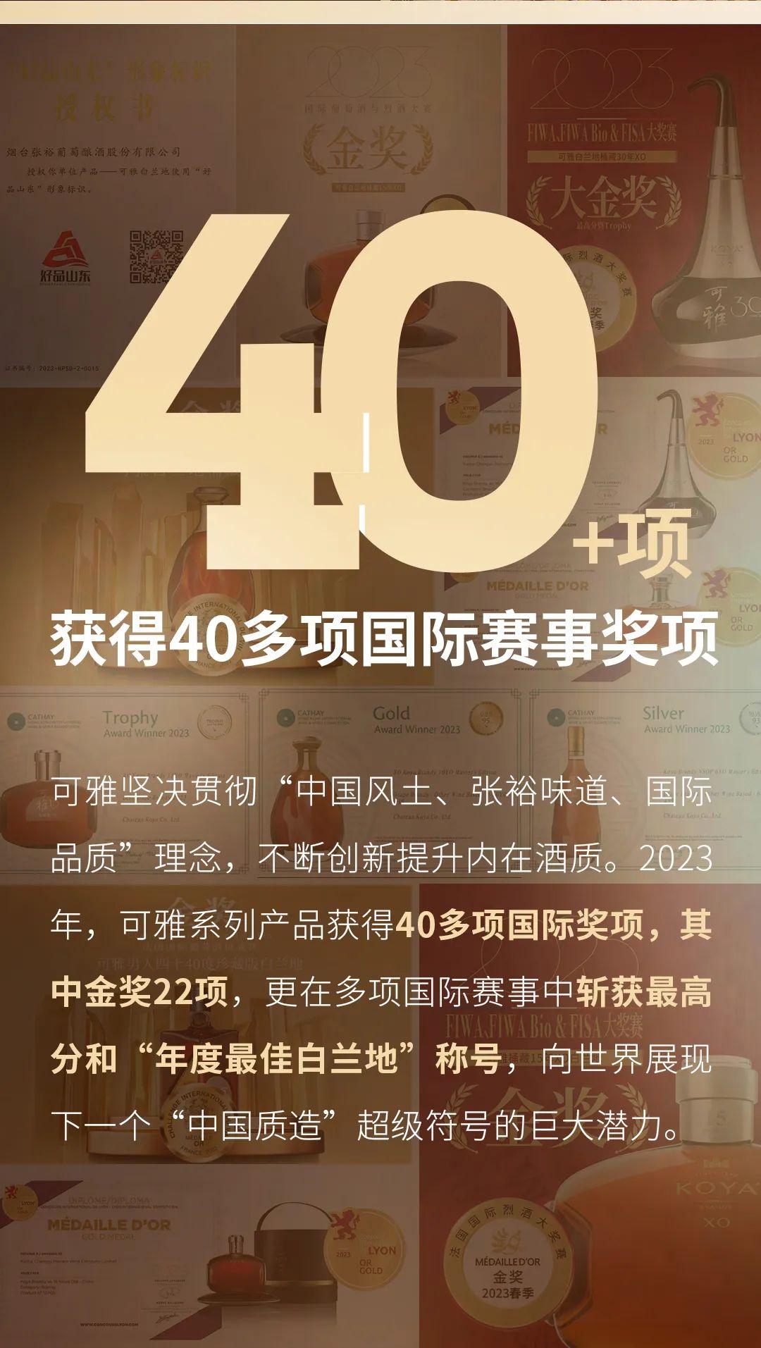 2023丨可雅白兰地年度数字盘点 - 知乎