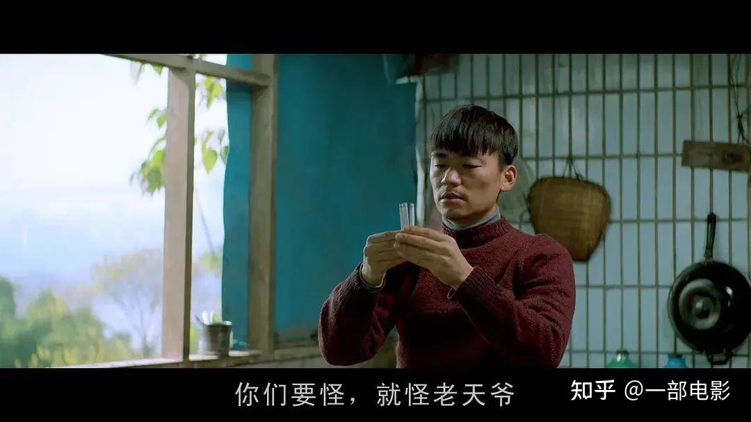 天注定豆瓣 知乎