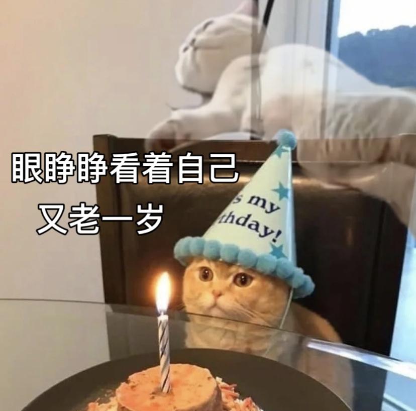 怎样在朋友圈暗示自己今天过生日? - 知乎