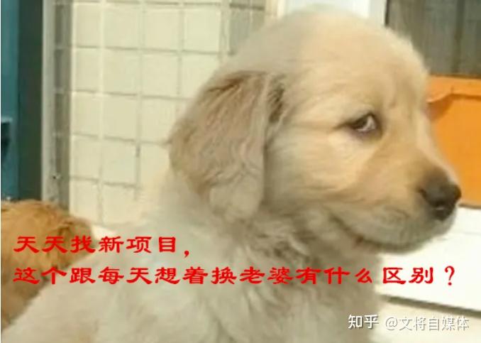 自媒体创业者必须要知道的15种基础商业模式！ - 知乎