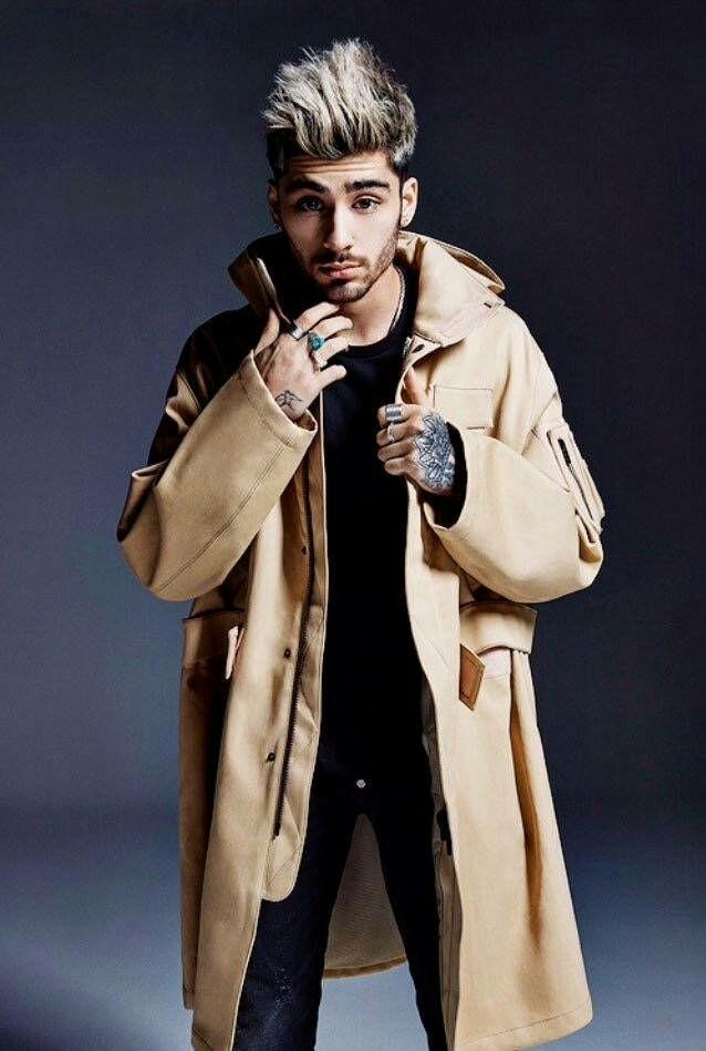 泽恩马利克帅照有哪些?