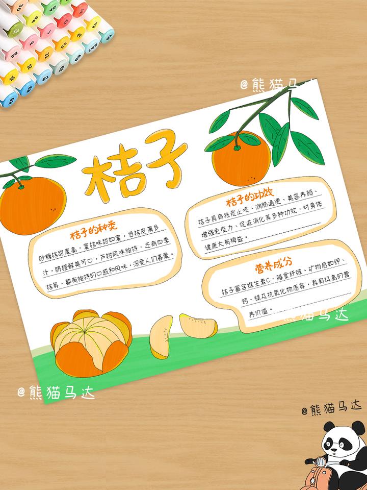 桔子手抄报 163 🍊