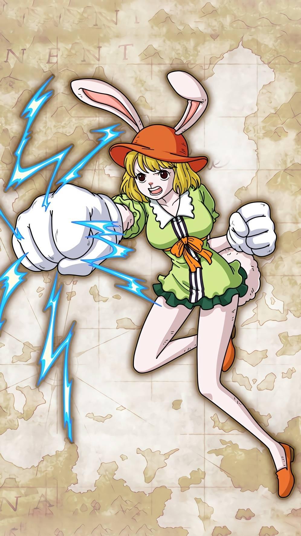 海贼王里加洛特这么萌,为什么找不到好看的壁纸呢? - 知乎