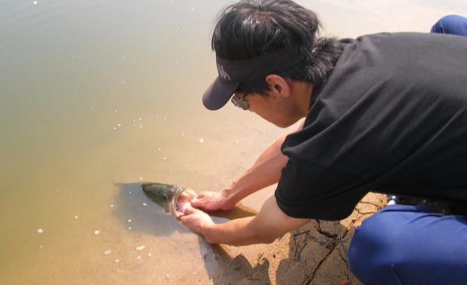 2路亚能钓什么鱼老虎路亚路亚基础排骨老虎