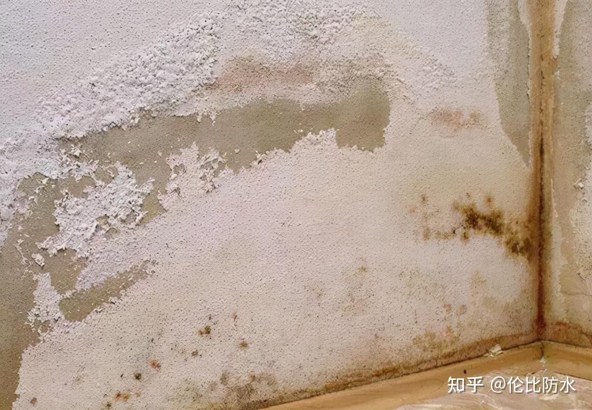 墙面泛碱怎么解决呢? - 知乎