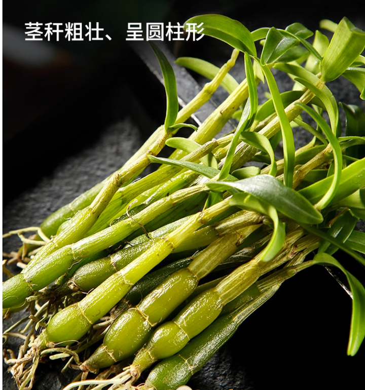 霍山石斛(米斛)与其它石斛区别 - 知乎