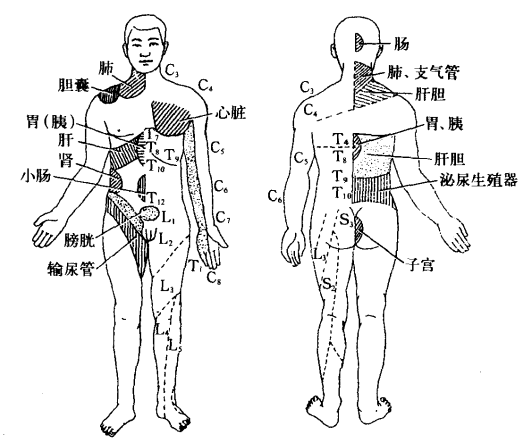 如何从生物学角度理解痛觉的发生机制痛觉又有哪些分类