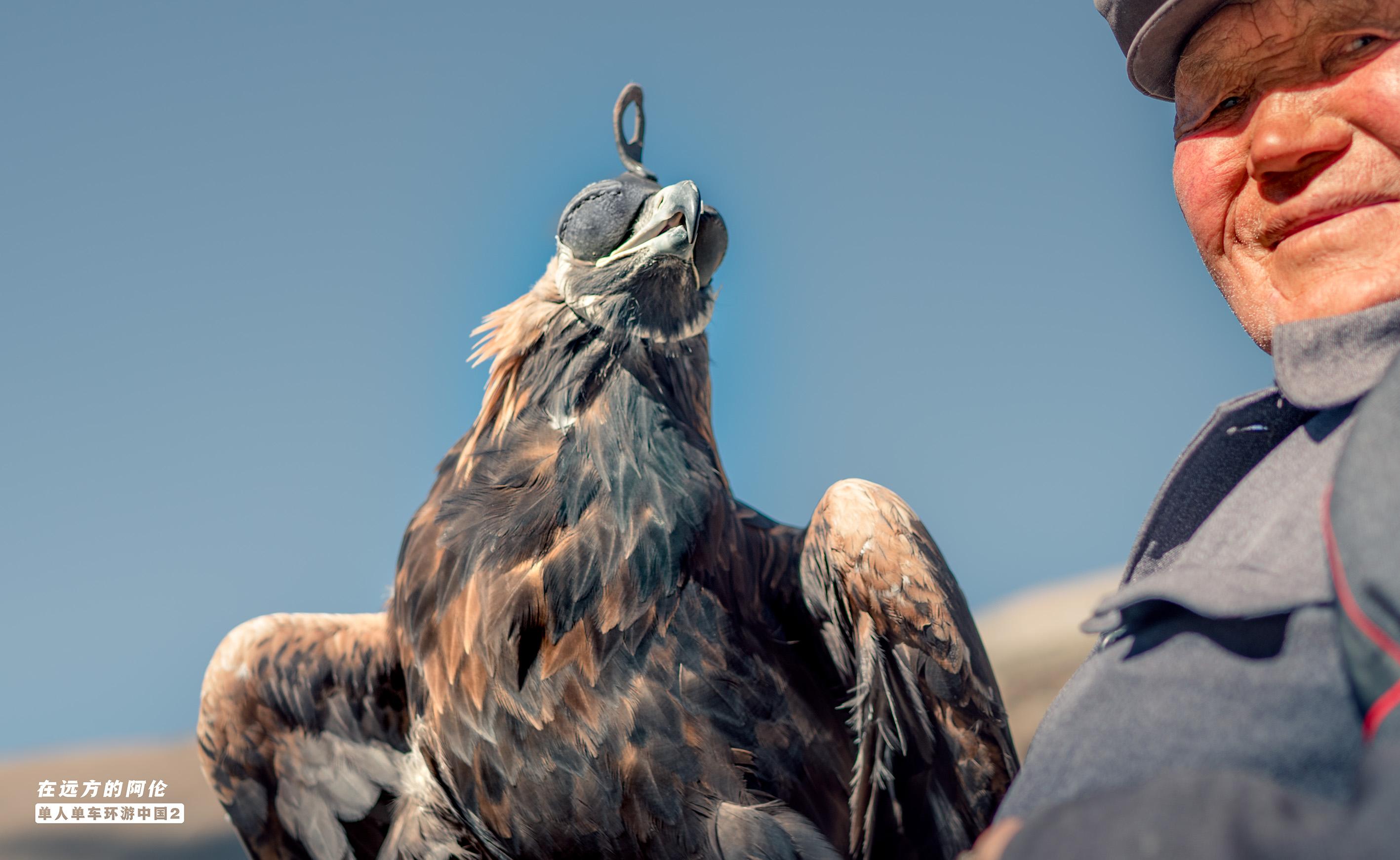 哈萨克驯鹰猎人,天山里的草原之王