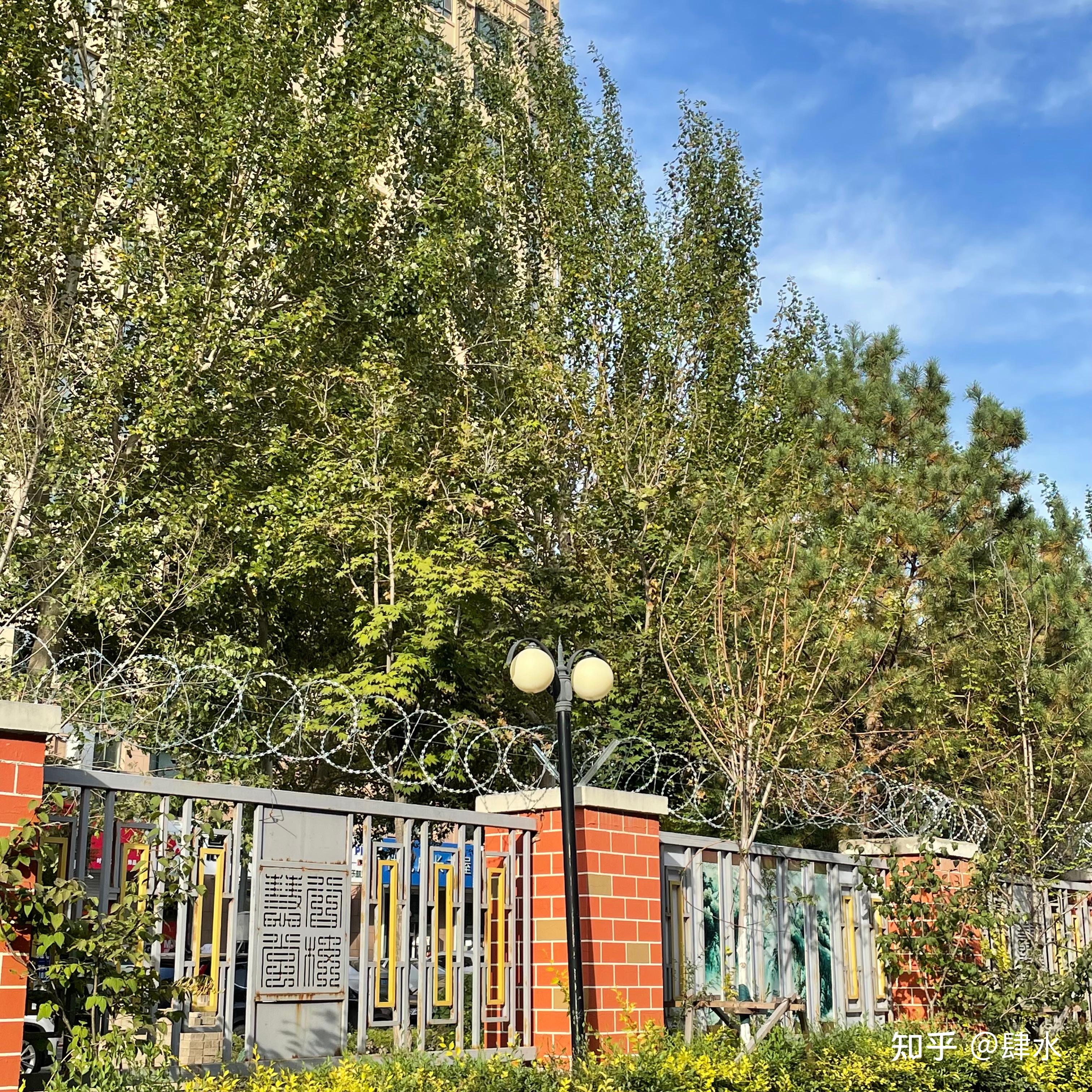 长春的吉大慧谷学校到底怎么样?
