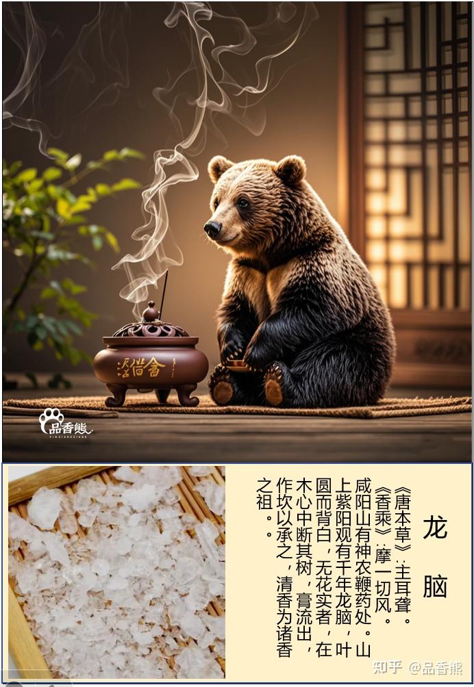品香熊:传统基础香料鉴赏之龙脑 龙脑,又名婆律香、婆律膏、龙脑油 - 知乎