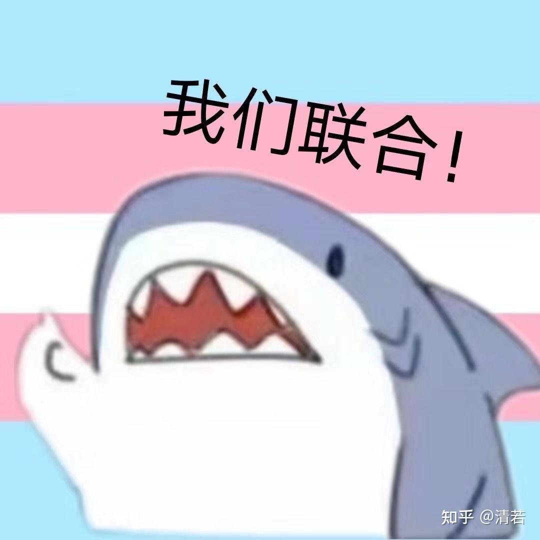 顺性别女生会认跨性别女生做姐妹吗? - 知乎