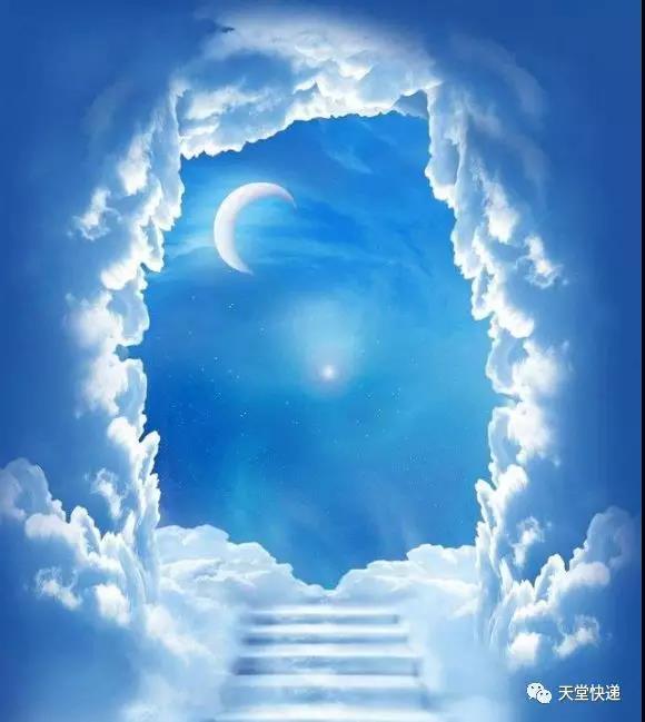 天堂是每个生命最后的归属吗