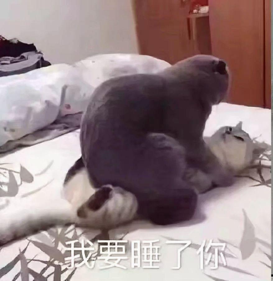 有没有给男朋友发的污污略微色的表情包啊? - 知乎