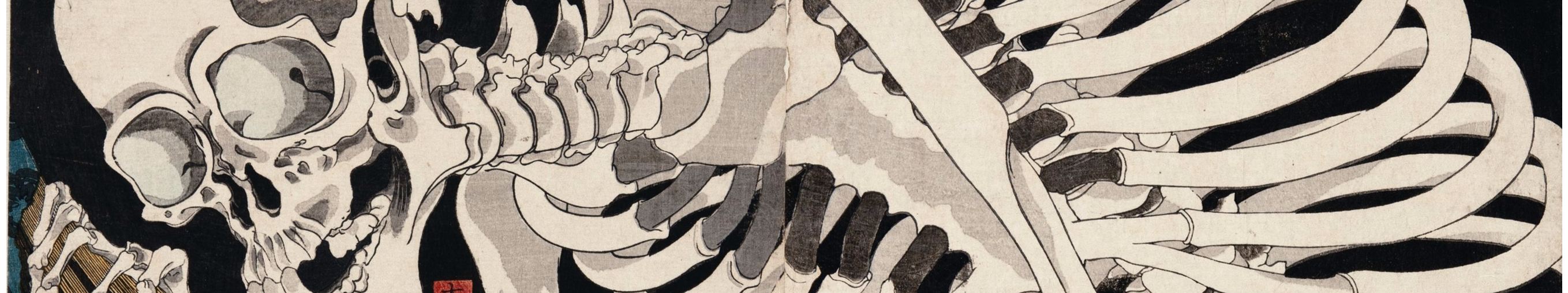 Zhihu banner for @lyud