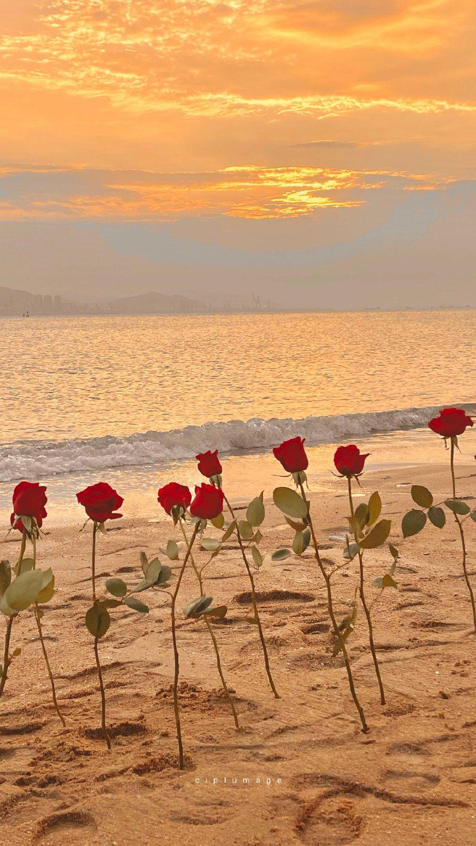 有哪些好看的微信聊天背景图? - 知乎