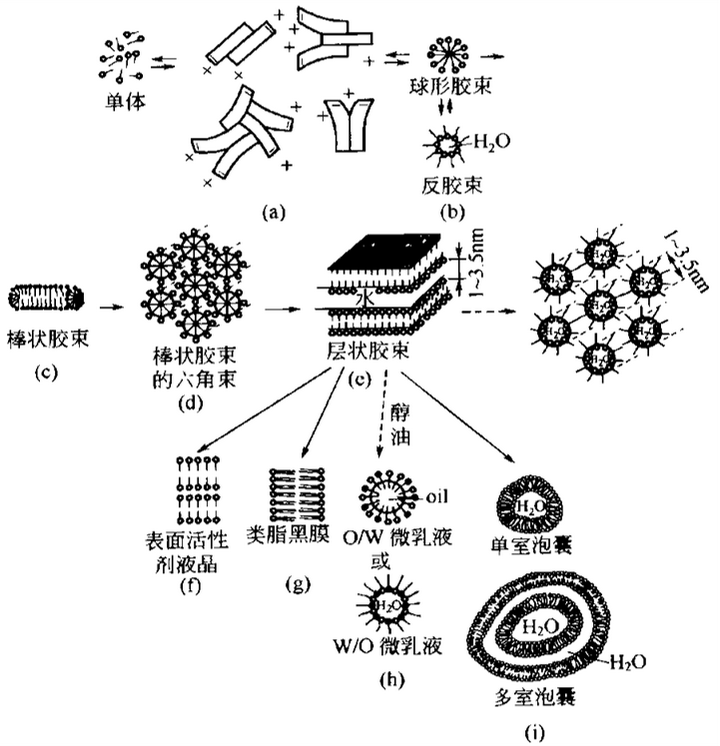 乳状液（乳液、纳米乳液、微乳液） 知乎