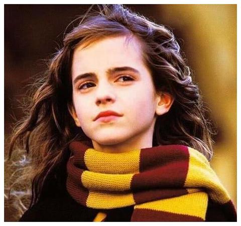 《哈利·波特与密室》中，赫敏变成猫后去校医院，难道不就暴露了喝复方汤剂和配料少了的事情吗？