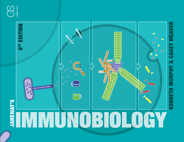 3.6 The Inflammasome(炎症小体) - 知乎